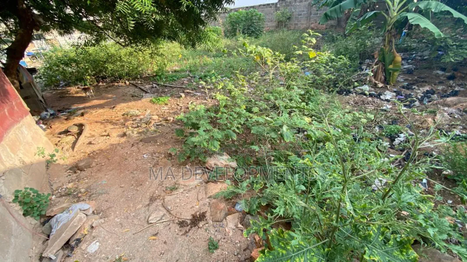 One Plot of Land Measuring 80*100 for Sale at Lomnava