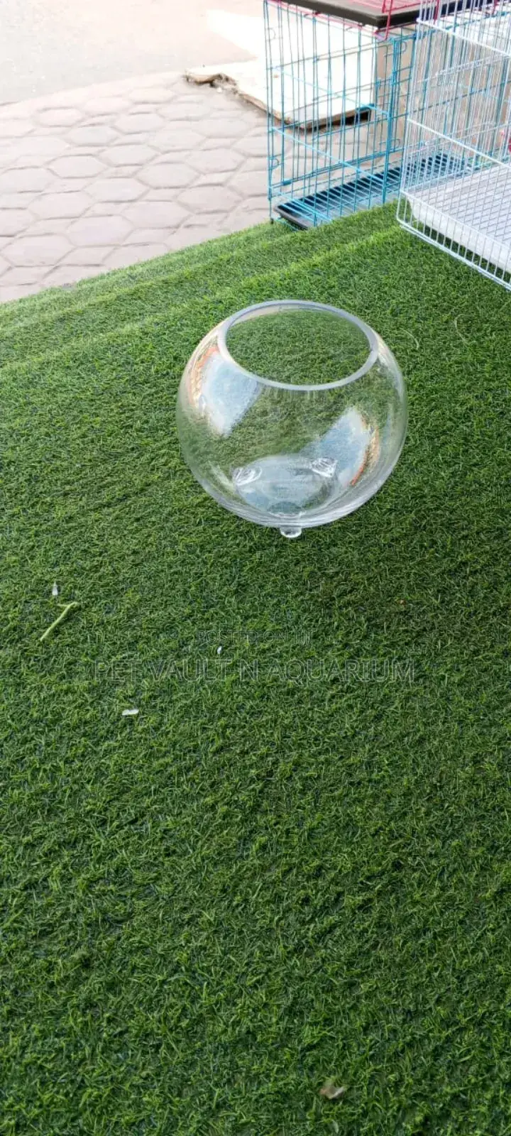 Glass Fish Bowl Medium