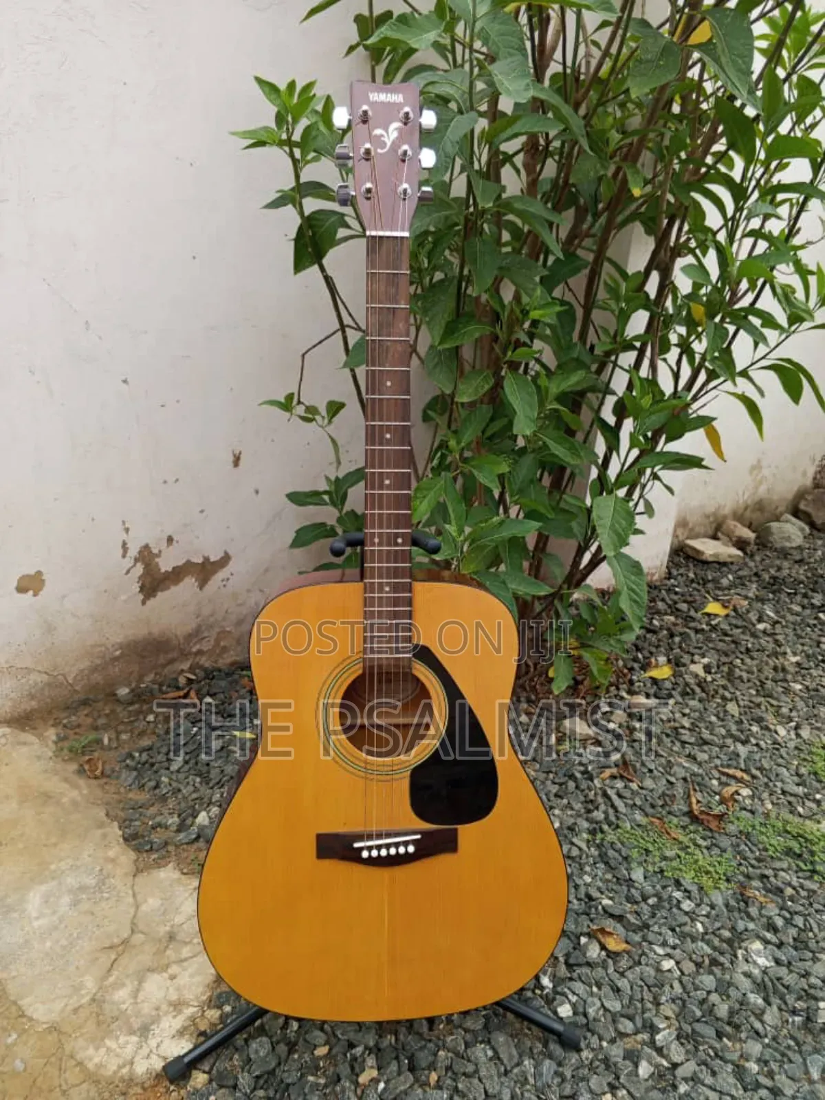 Yamaha F310 Original Acoustic Guitar With a Hard Case