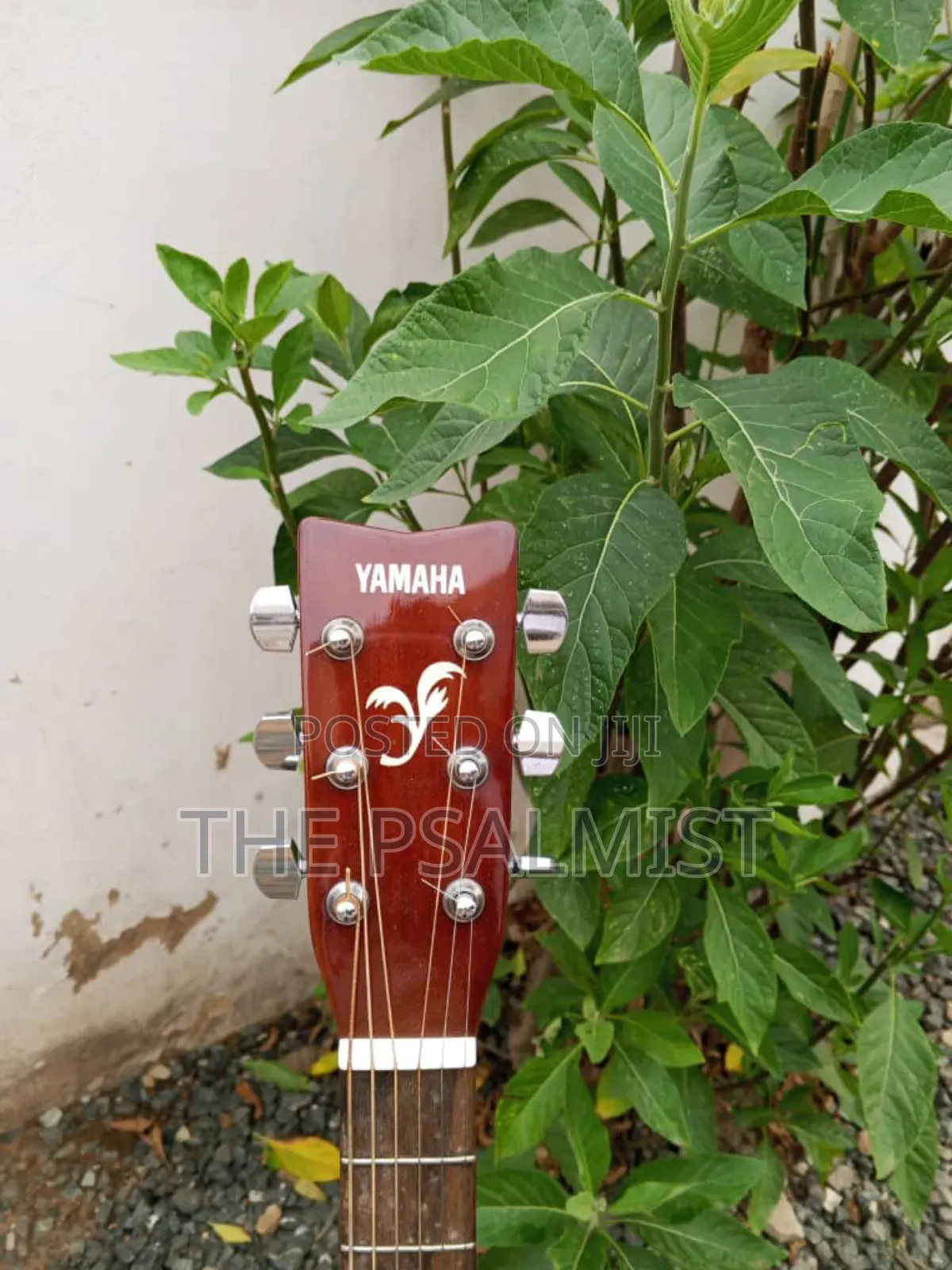 Yamaha F310 Original Acoustic Guitar With a Hard Case