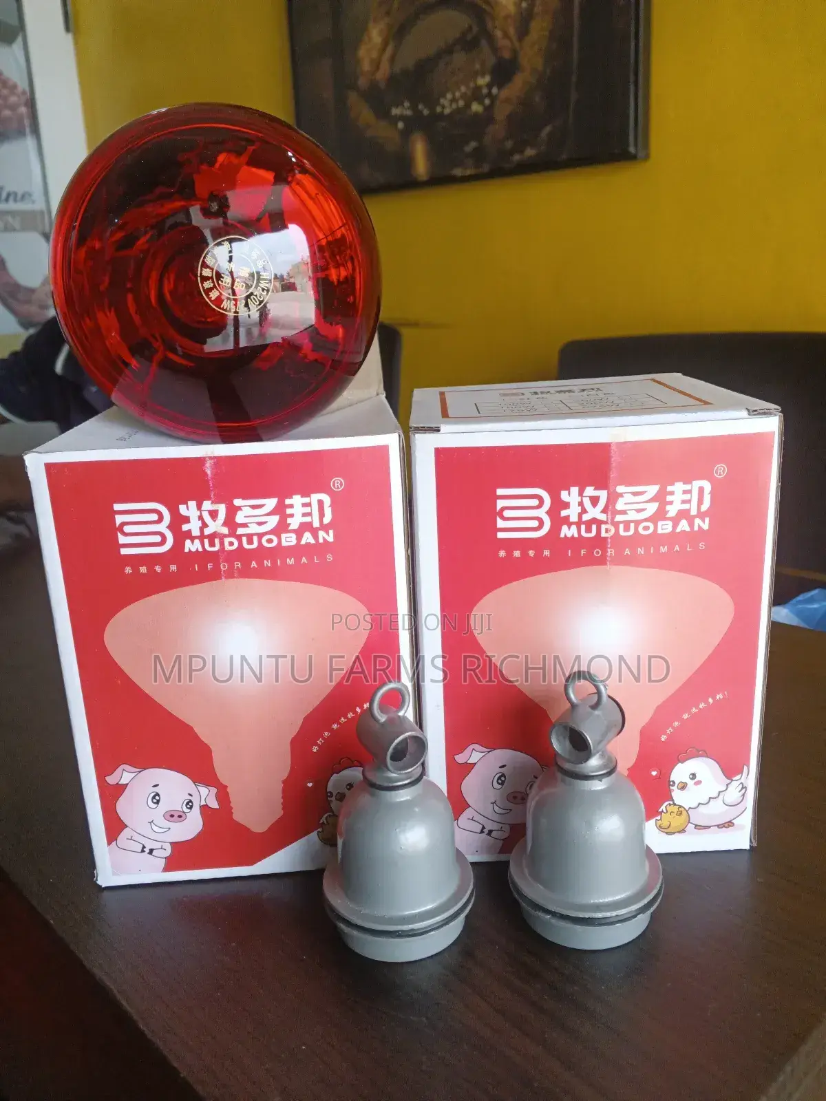 Heat Bulbs With Ceramic Holders