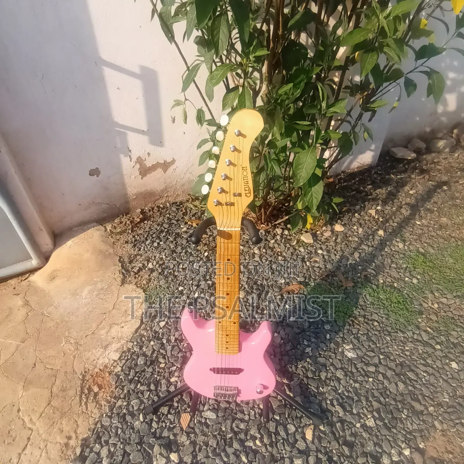Elevation 1/2 Size Guitar
