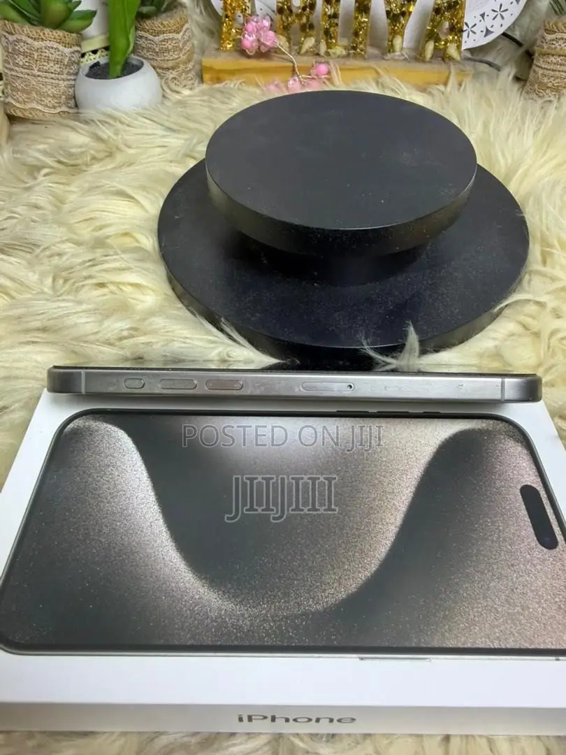 Apple iPhone 15 Pro Max 256 GB Silver