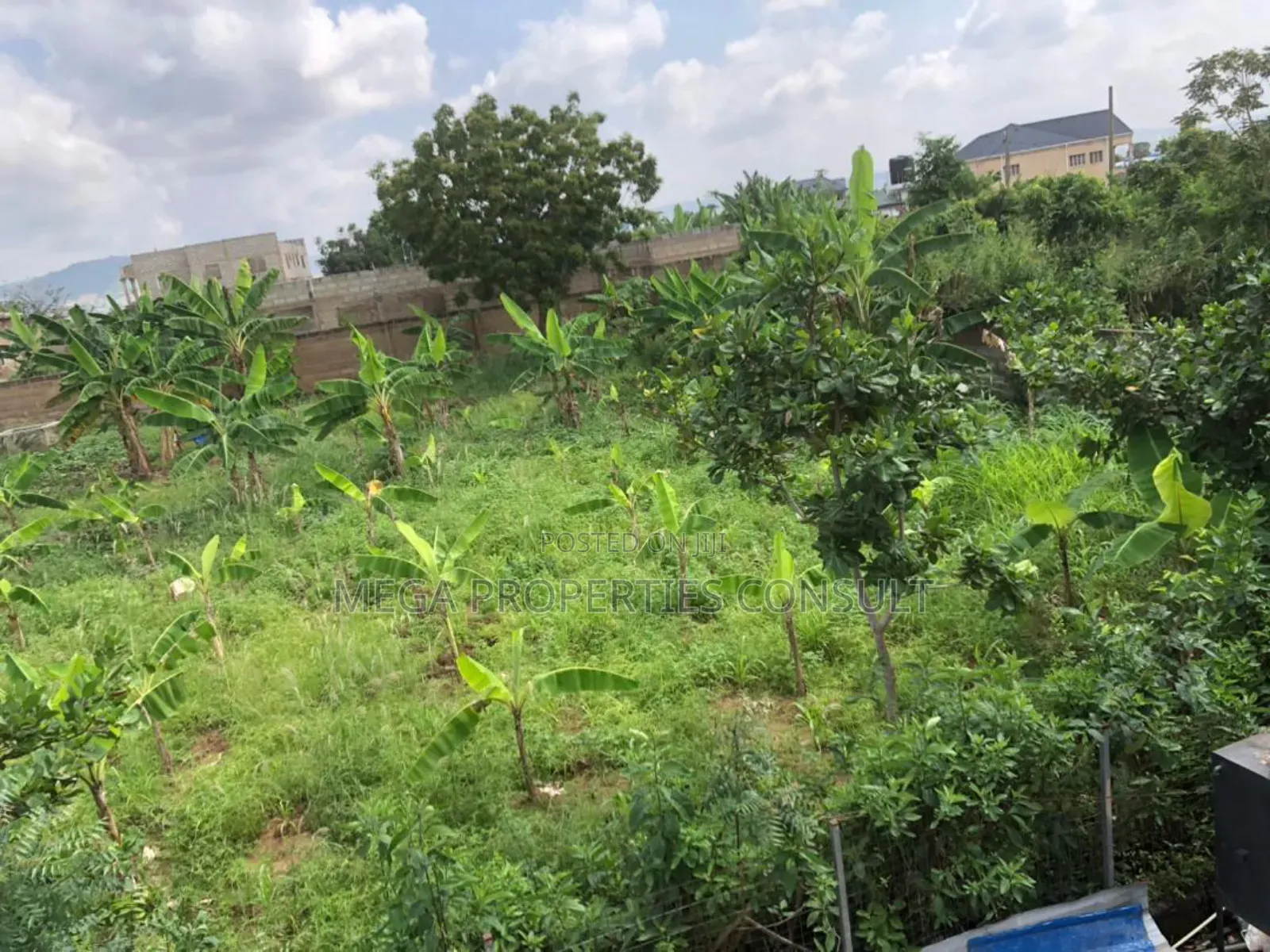 Land for Sale in Amasaman Medie
