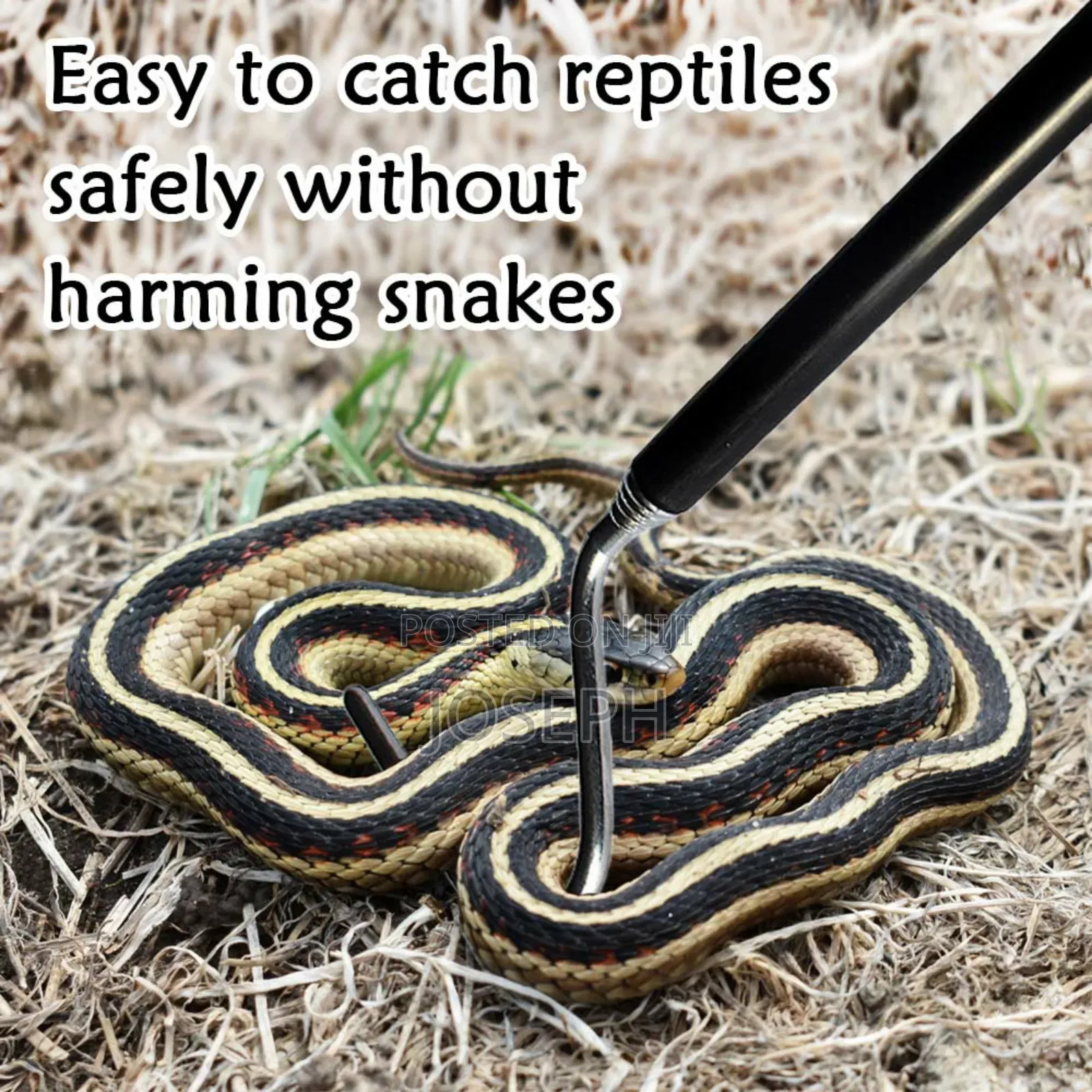 Reptiles Controlling Hook ,Catching