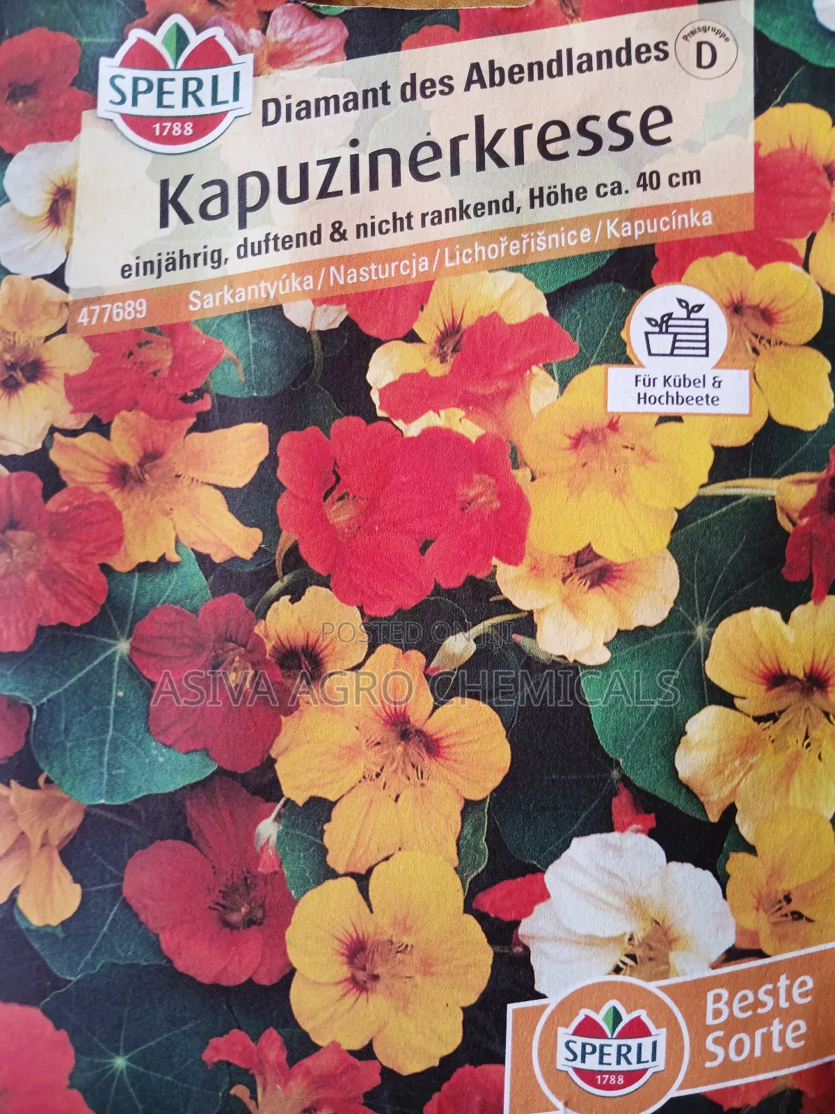 Nasturtium (Diamond of the West) Flower Seeds