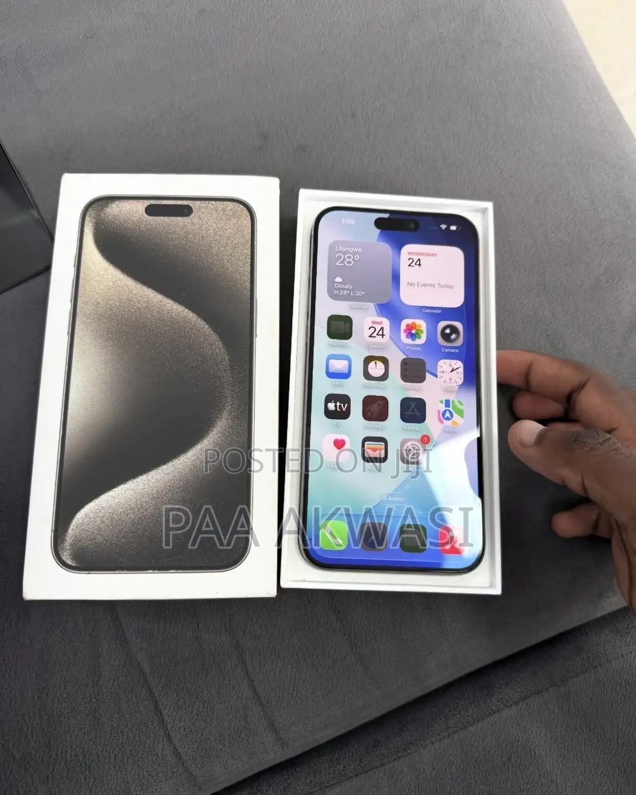 Apple iPhone 15 Pro Max 256 GB Silver