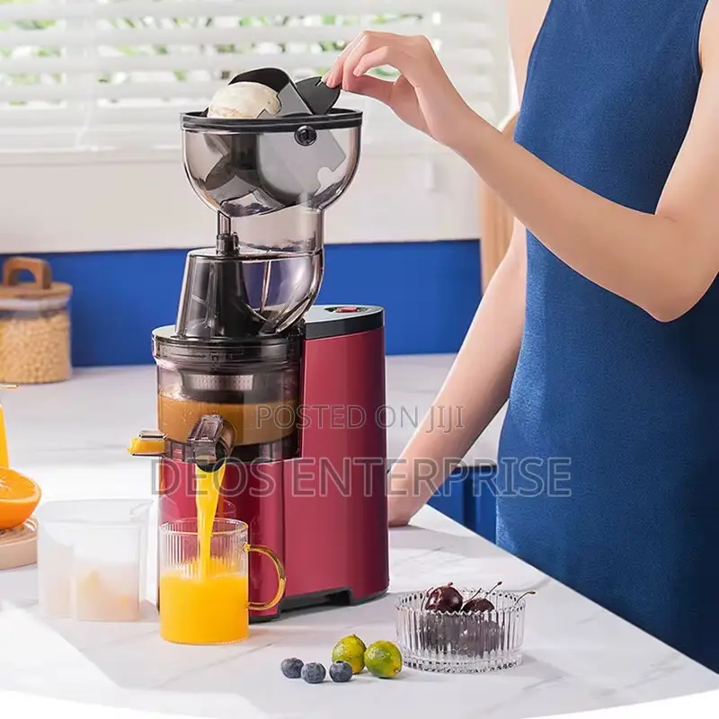 Premium Sokany Masticating Juicer - Max Nutrients