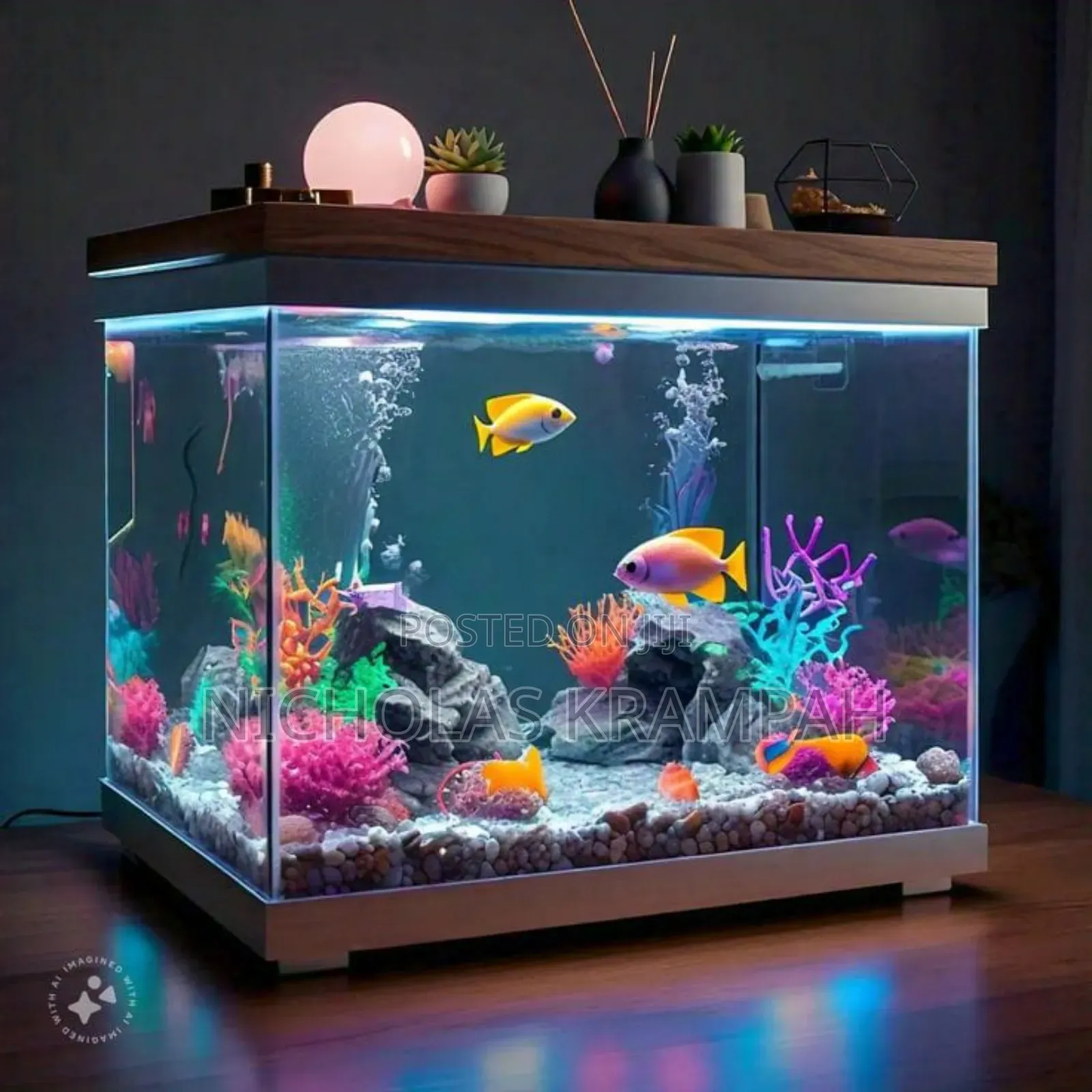 Aquarium Tanks