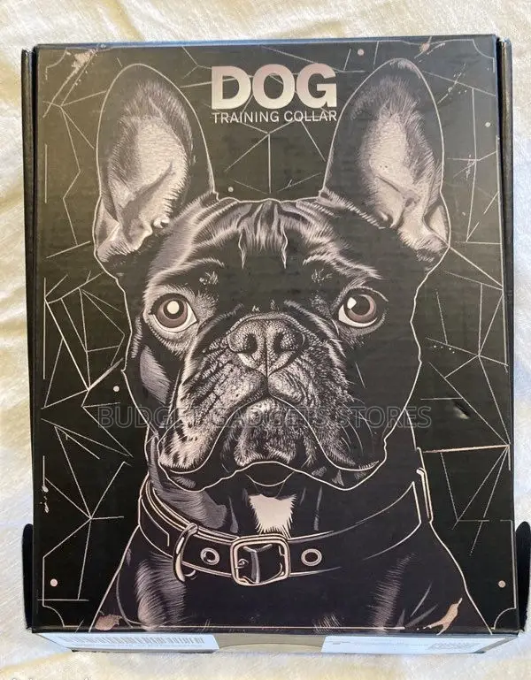 Dog Training Collar