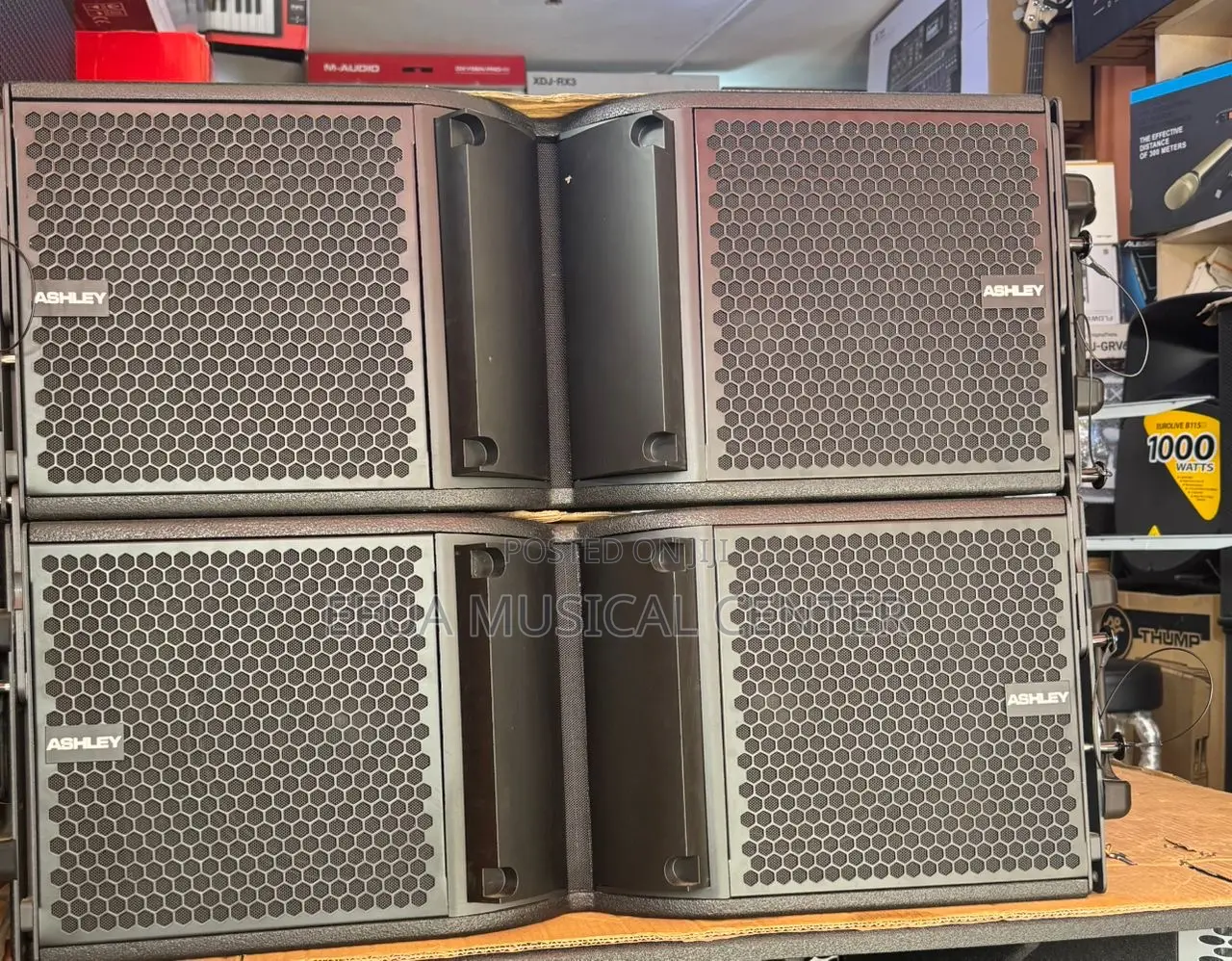 Ashley 12inches Line Arrey Speakers