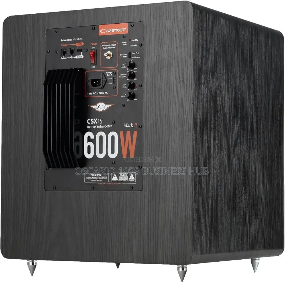 15”Active Subwoofer for Multiple Uses