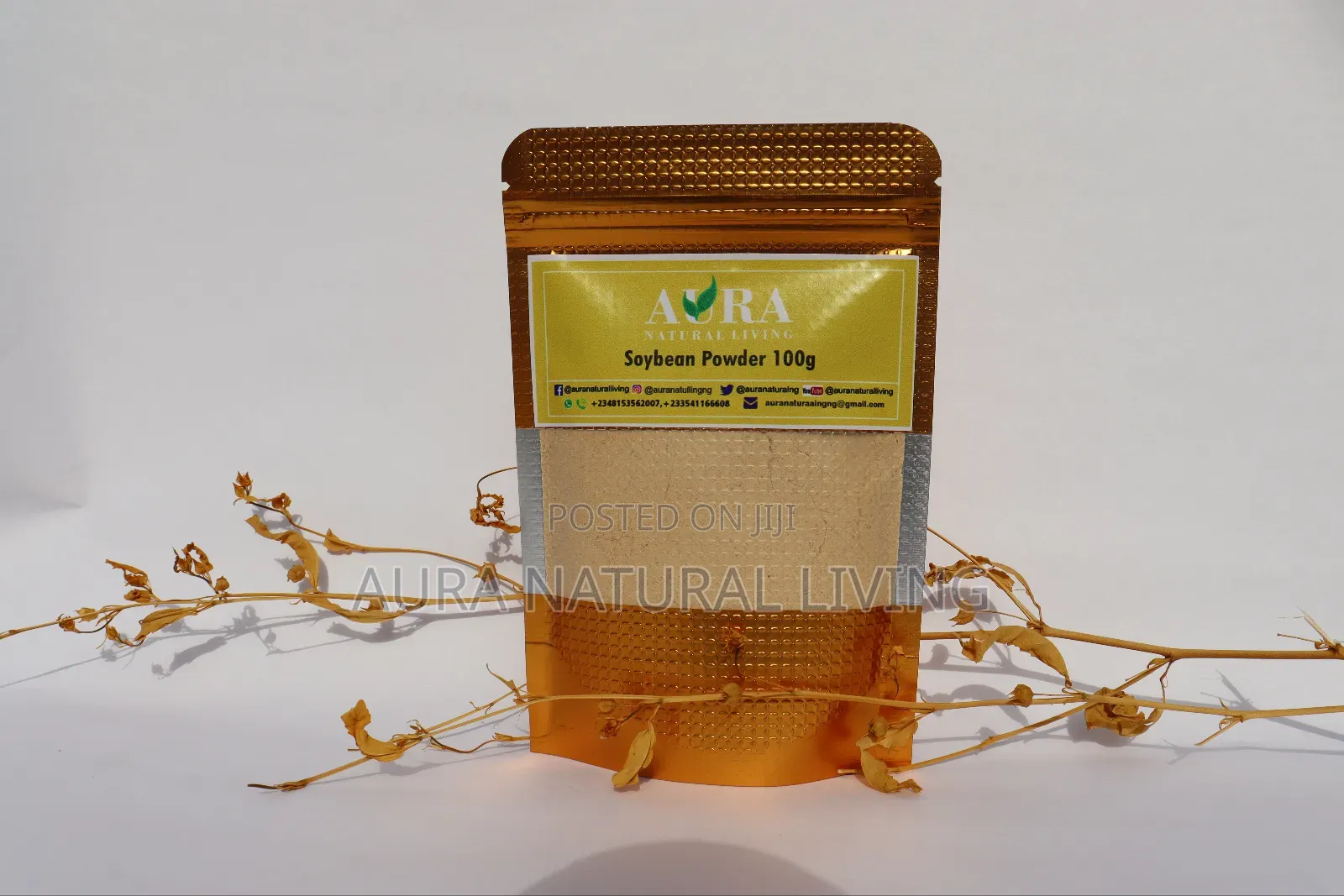 Soybean Powder 100g