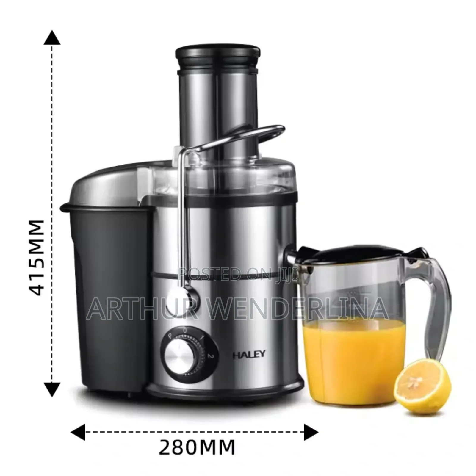Haley Juice Extractor