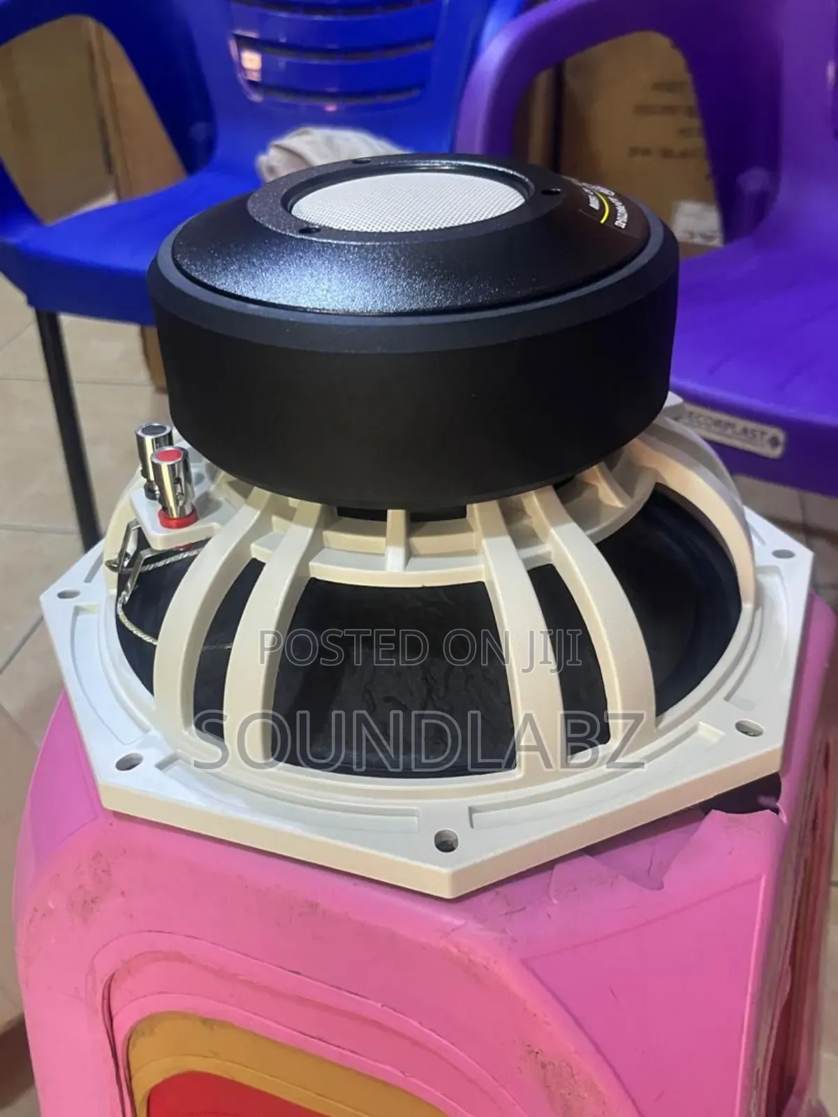 Jld 10-inch Double Magnet Pa Naked Speaker/Subwoofer.
