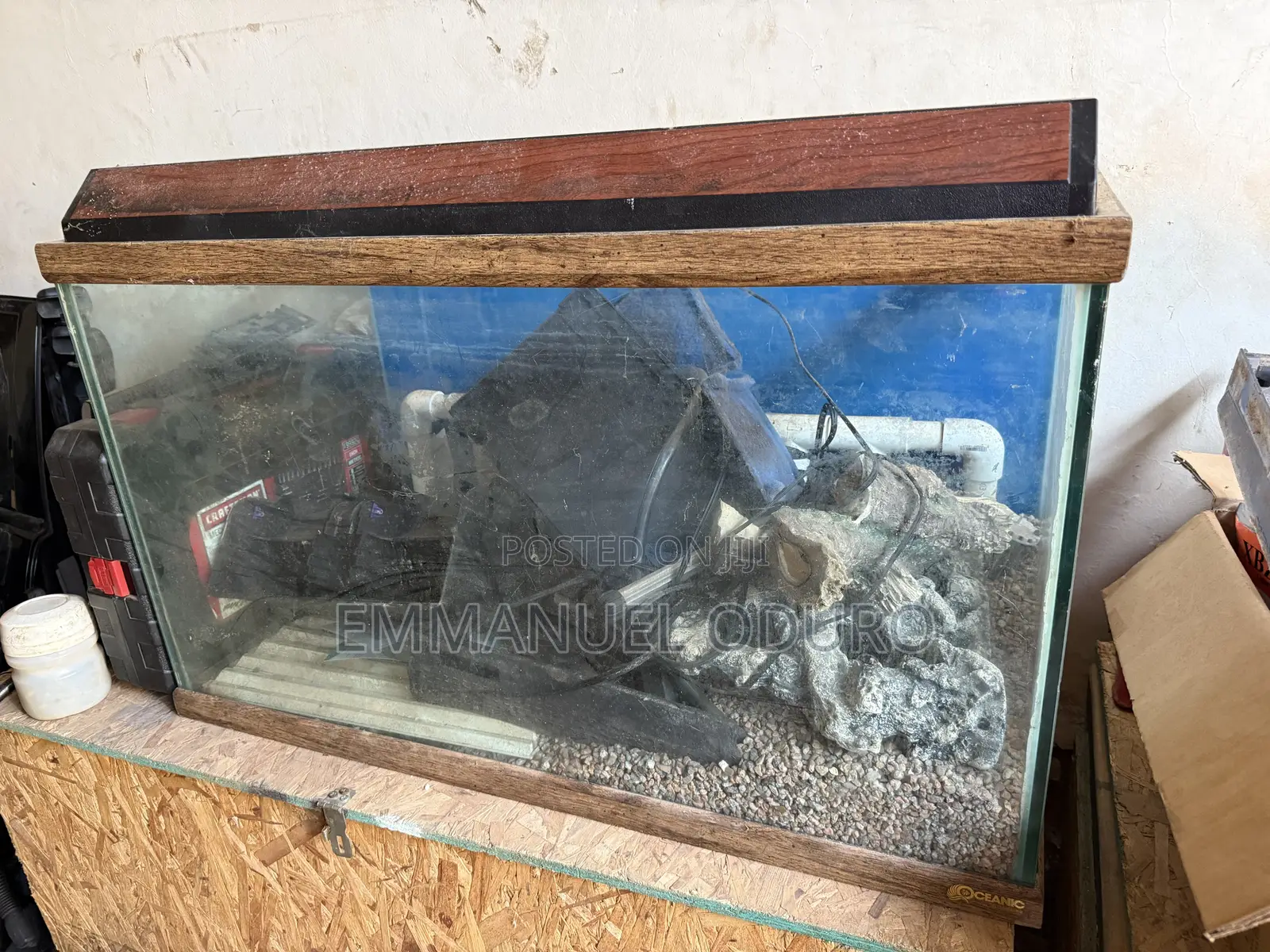 Aquarium , Fish Tank