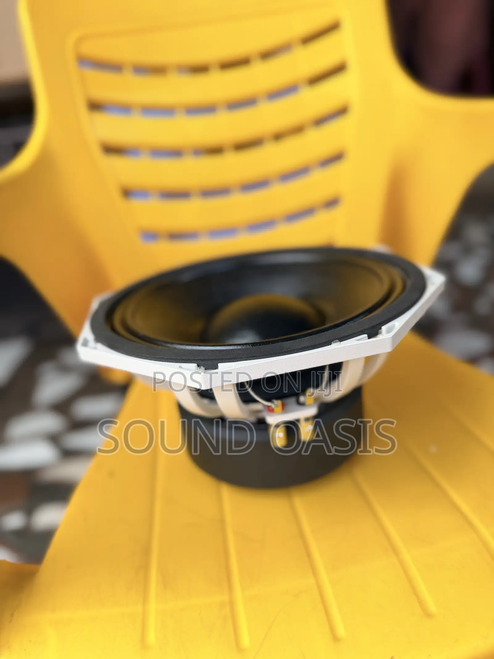 JLD-Pw47210-03 Pa Naked Speaker(10 Inches)