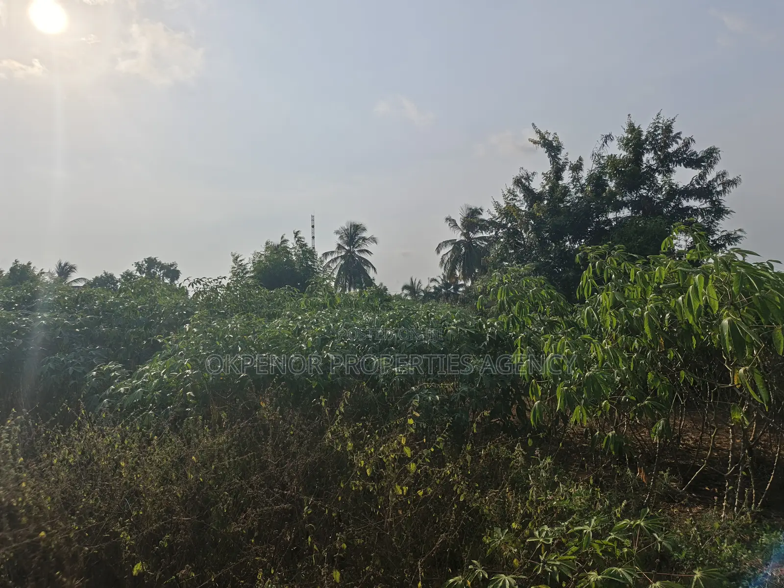 4plot Fence for Sale at Ada Junction