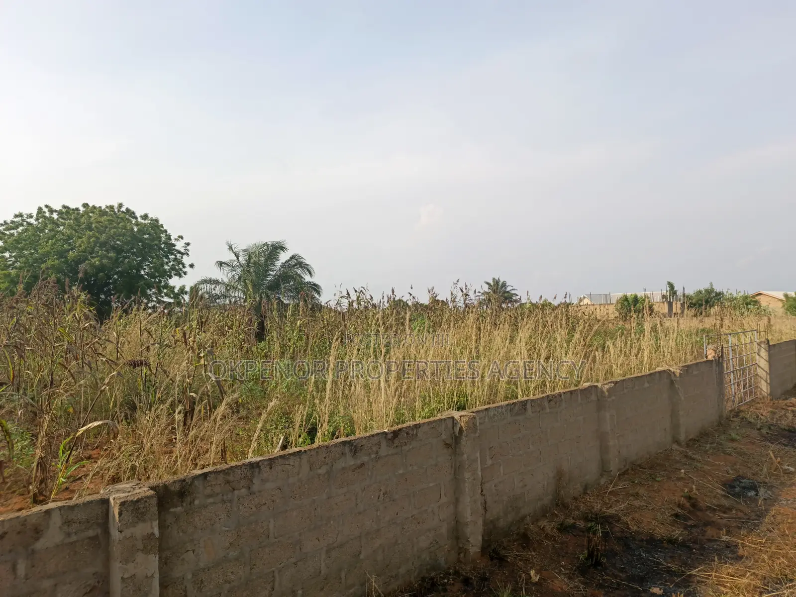 3plots Fence for Sale at Ada