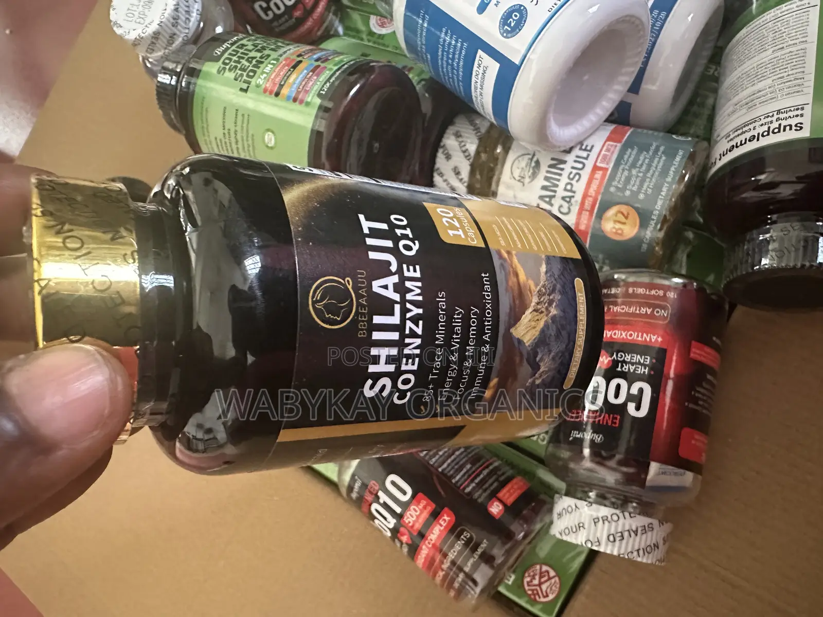 Shilajit and Coenzymes Q10