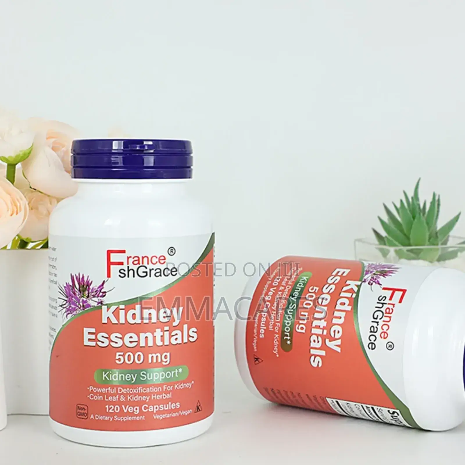 Kidney Essential
