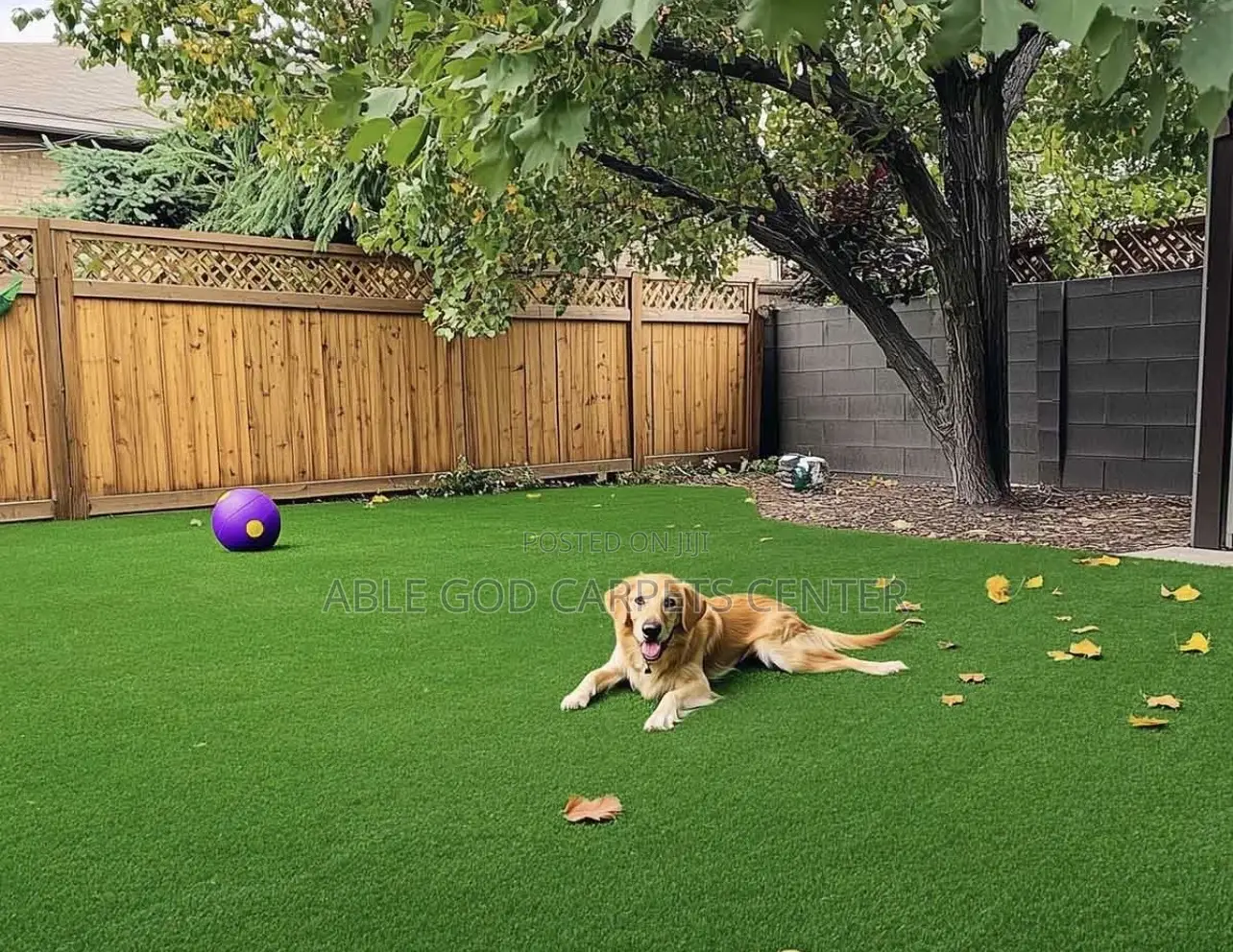 Quality Green Grass Carpets