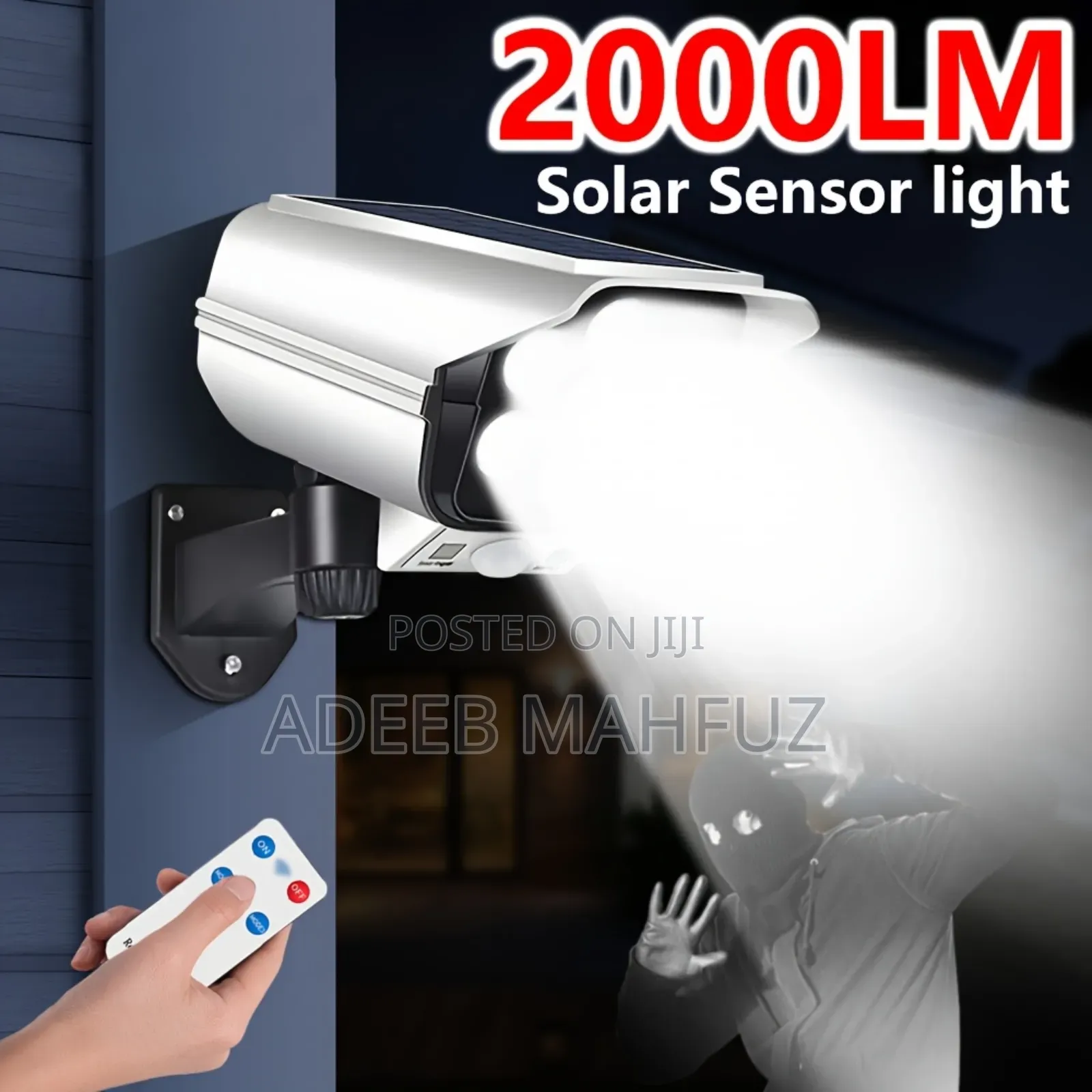 Solar Motion Sensor Security Light