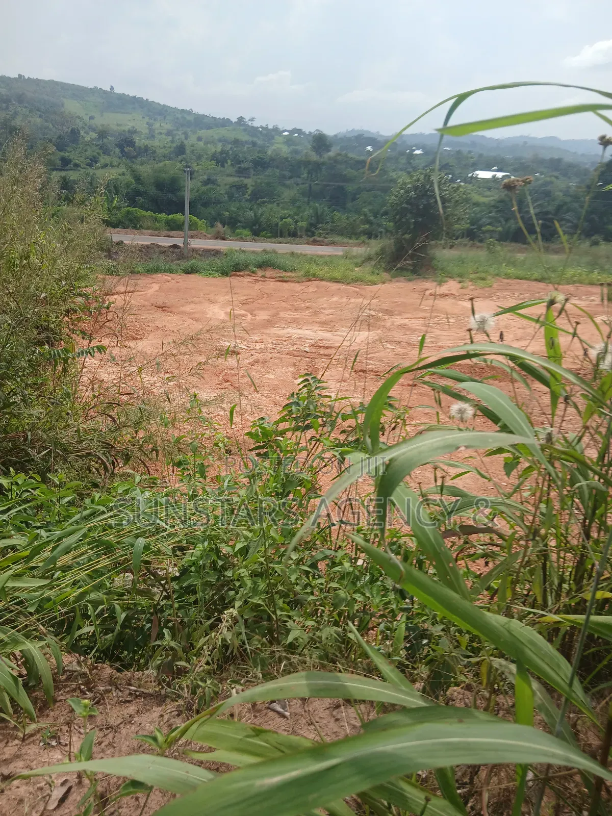 Roadside Land for Sale in Hohoe