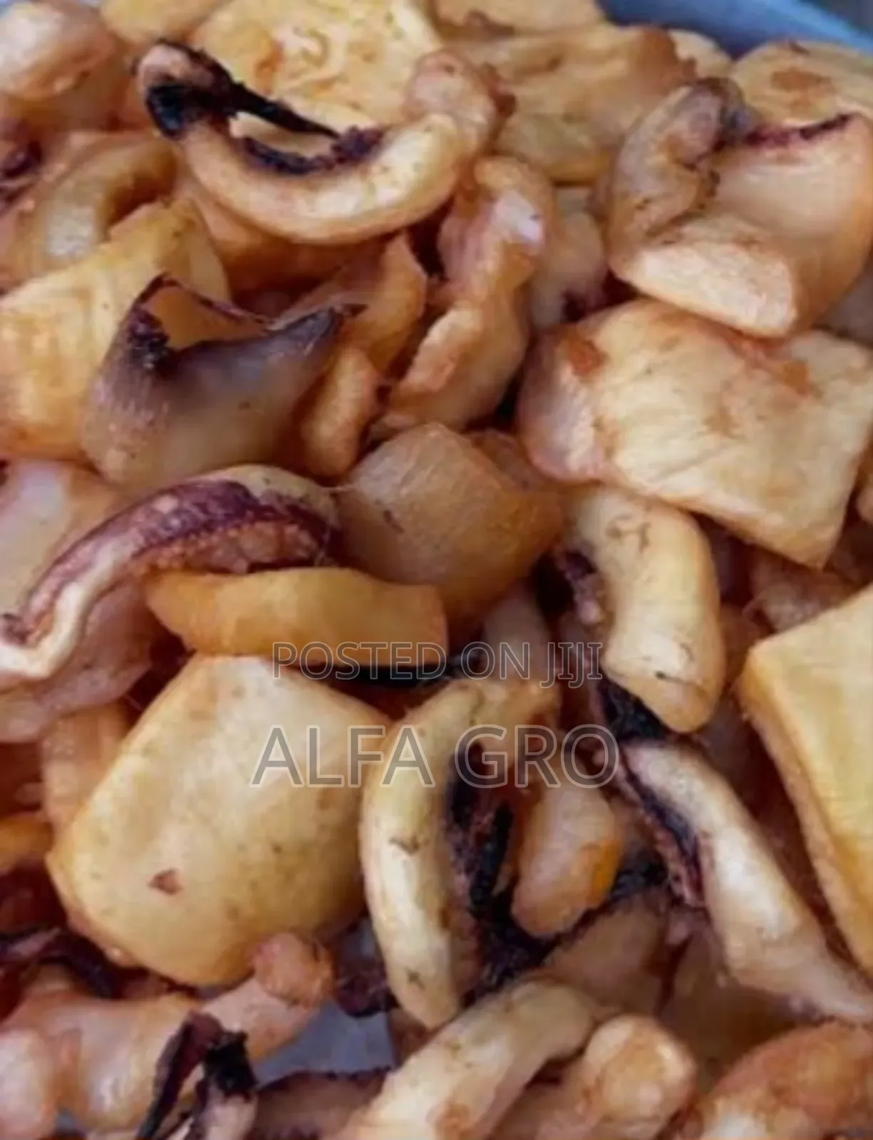 Fresh Squid Meat
