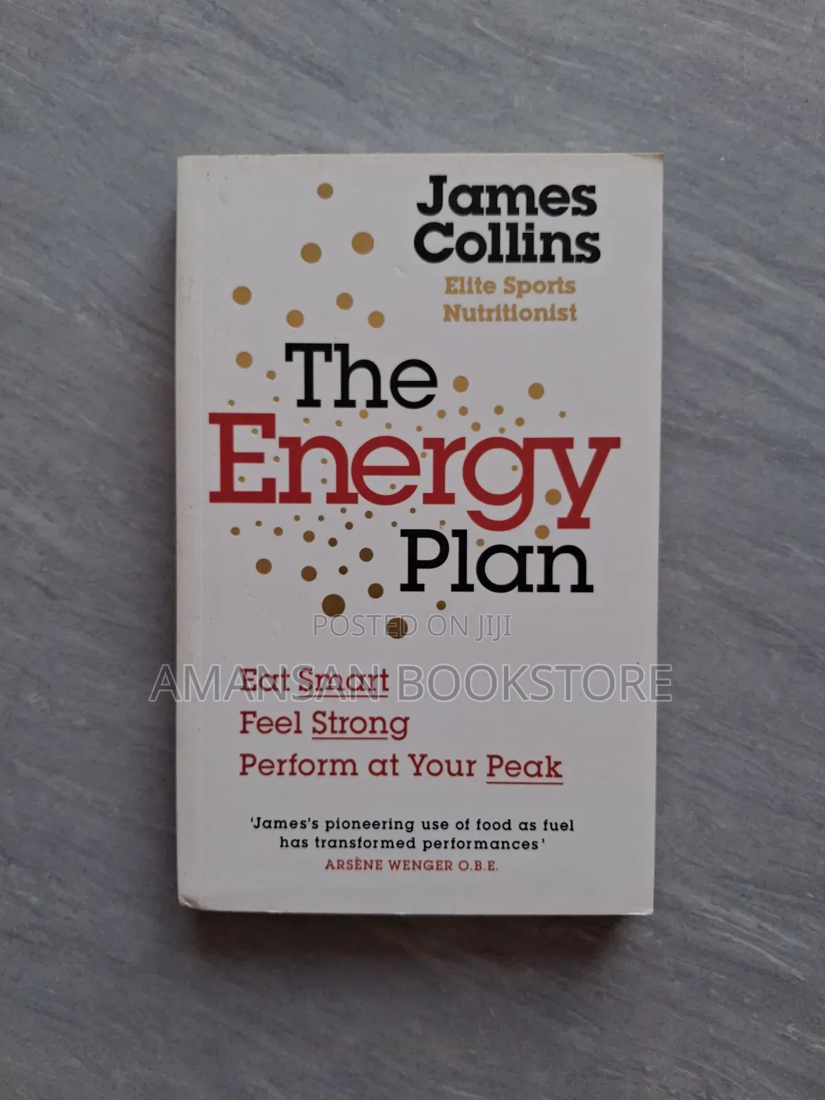 The Energy Plan