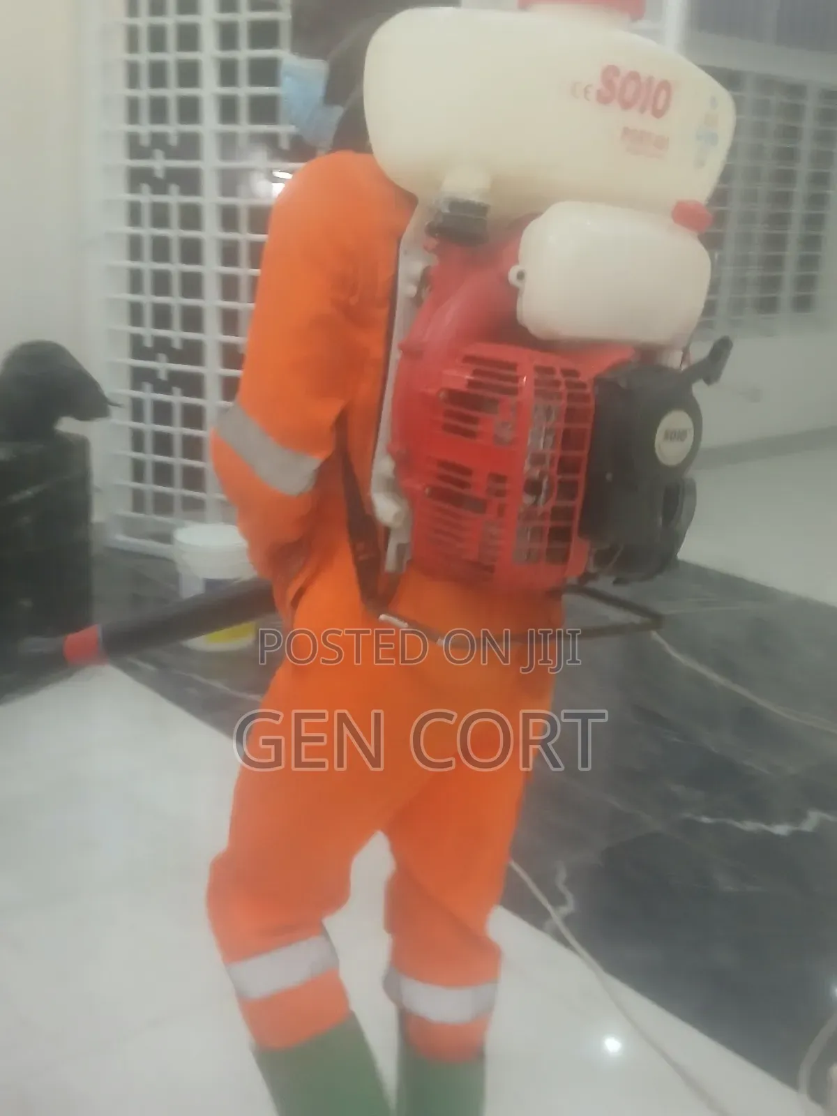 Bedbugs Fumigation