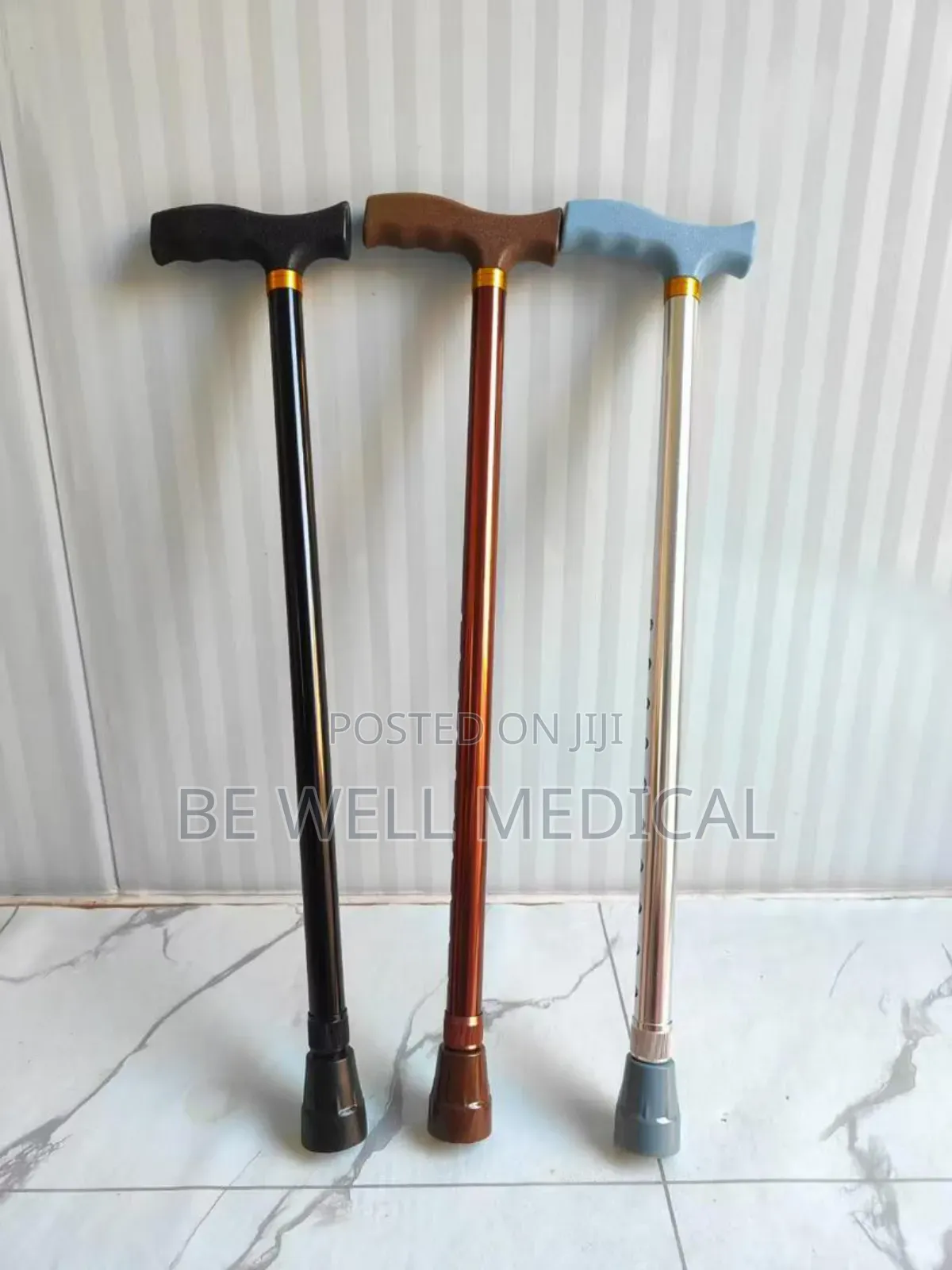 Walking Stick