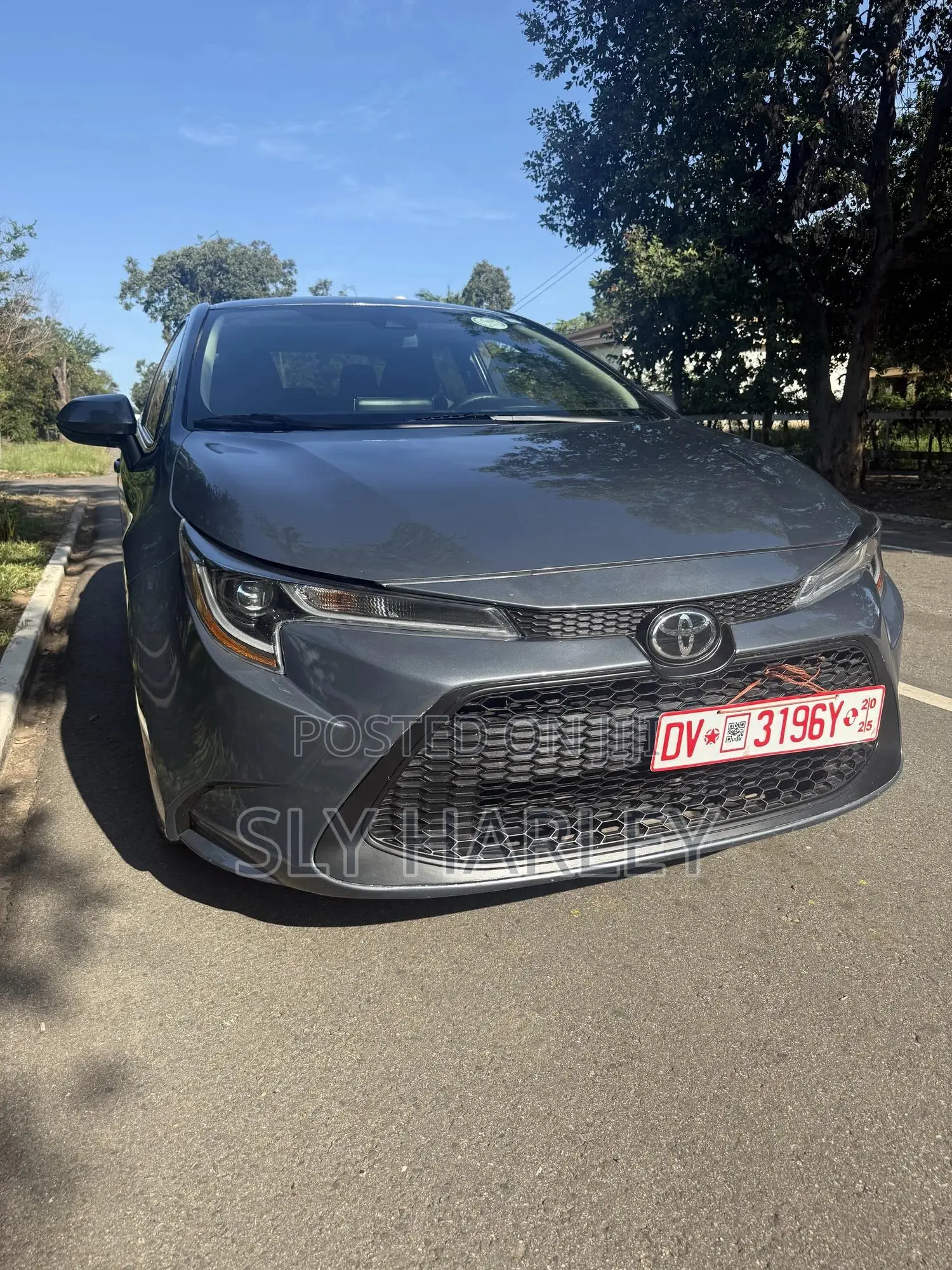 Toyota Corolla LE 2021 Gray