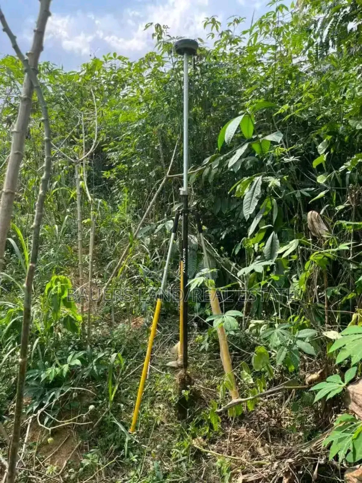 Professional Surveyor Available