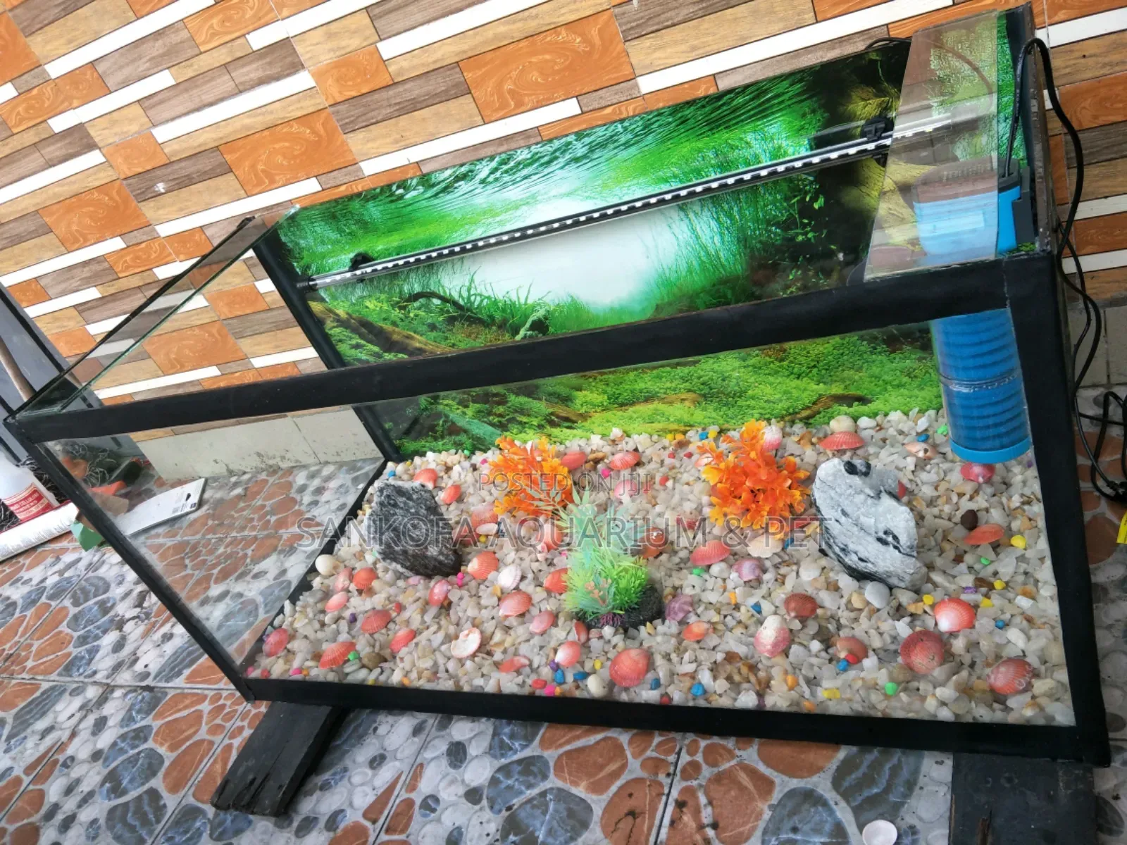 3 Feet Customize Aquarium Package With Accessories