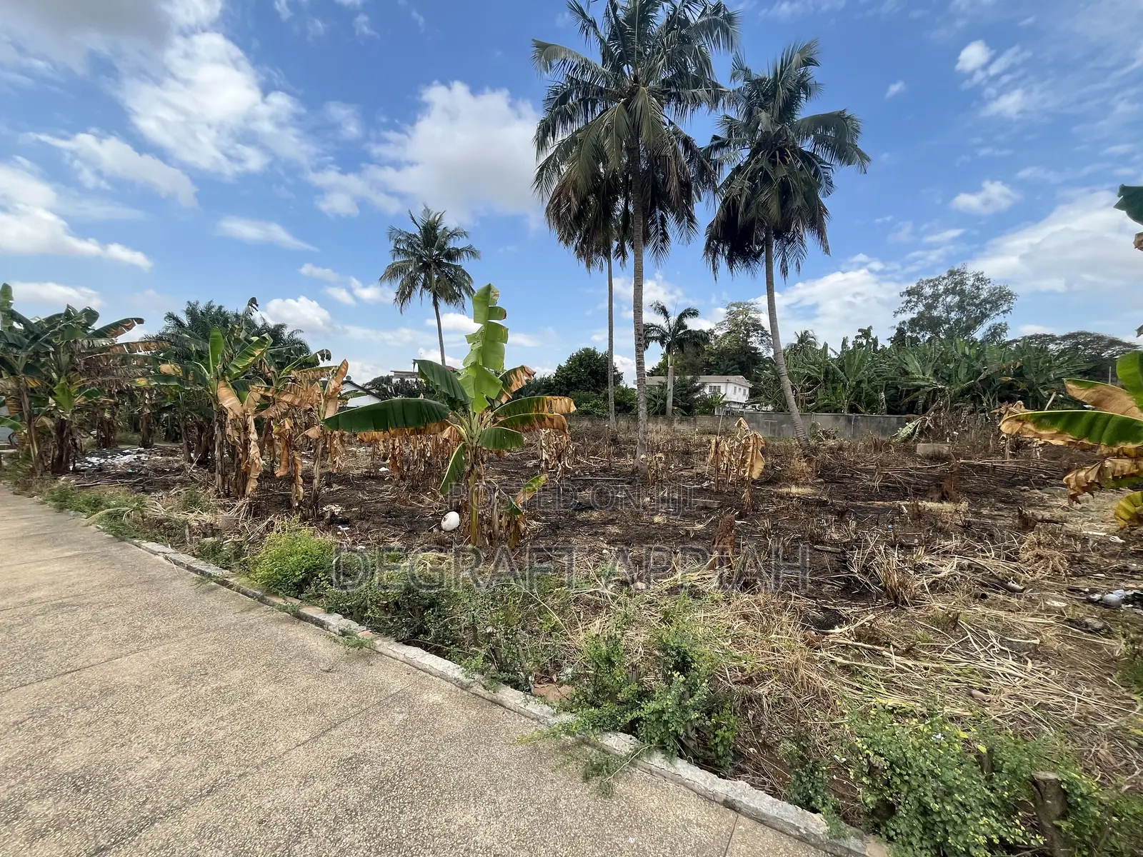 Prime Area 2 Half Plot for Sale at Ahodwo Nhyieso