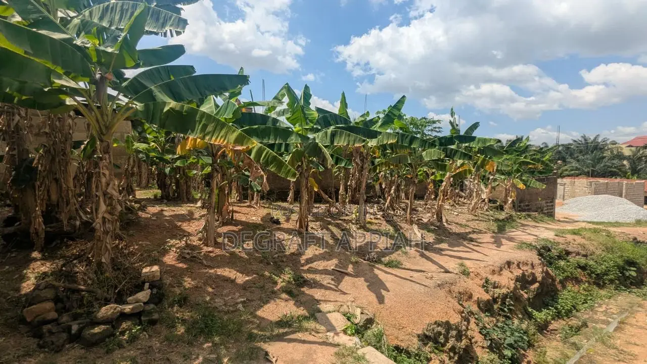 Well Located Acre Land (4 Plots) for Sale at Ipt, Denkyemuoso