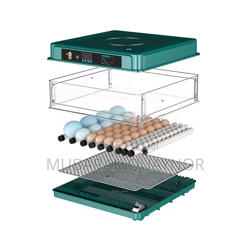 Smart Dual Power Incubator