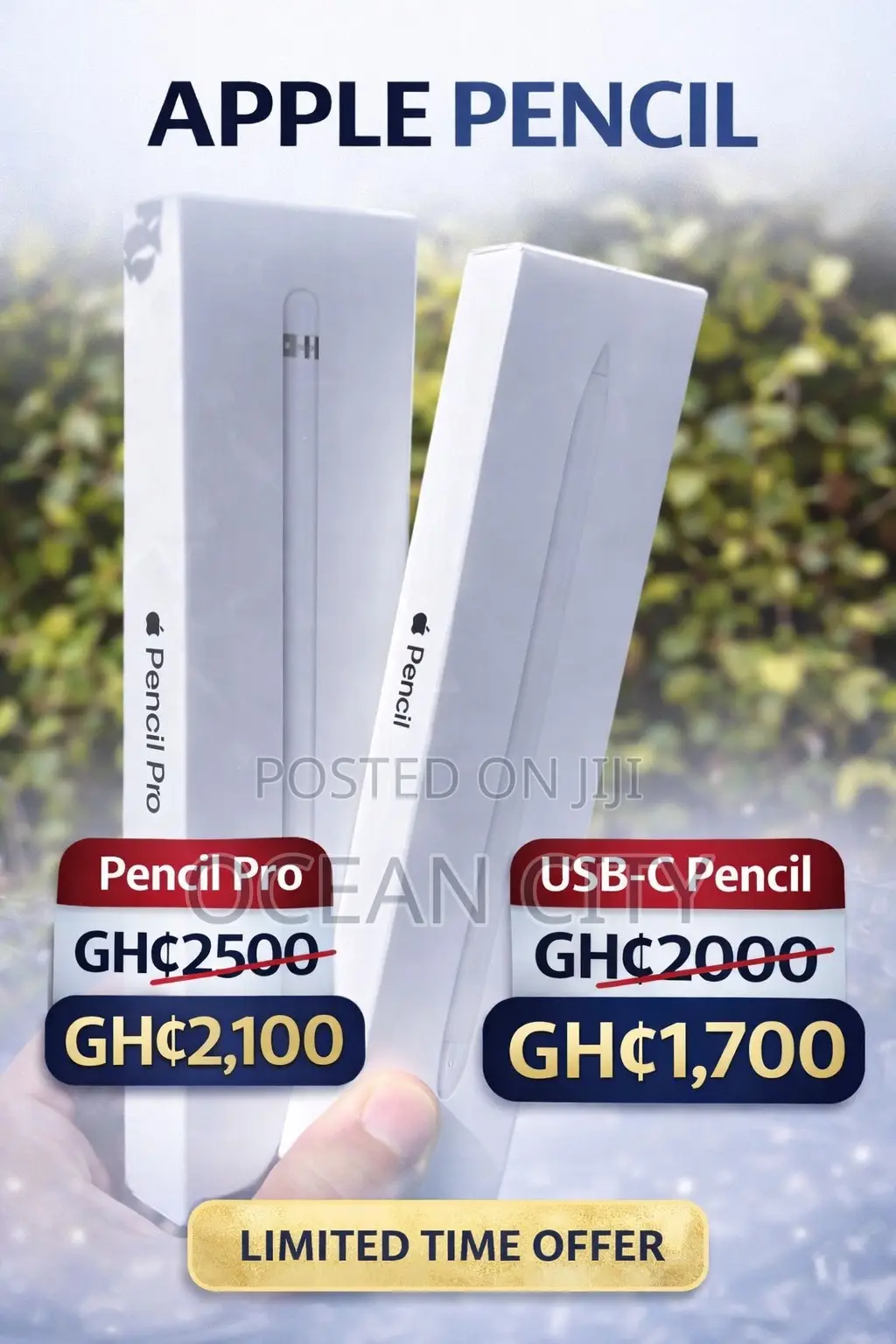Apple Pencil (Usb-C)