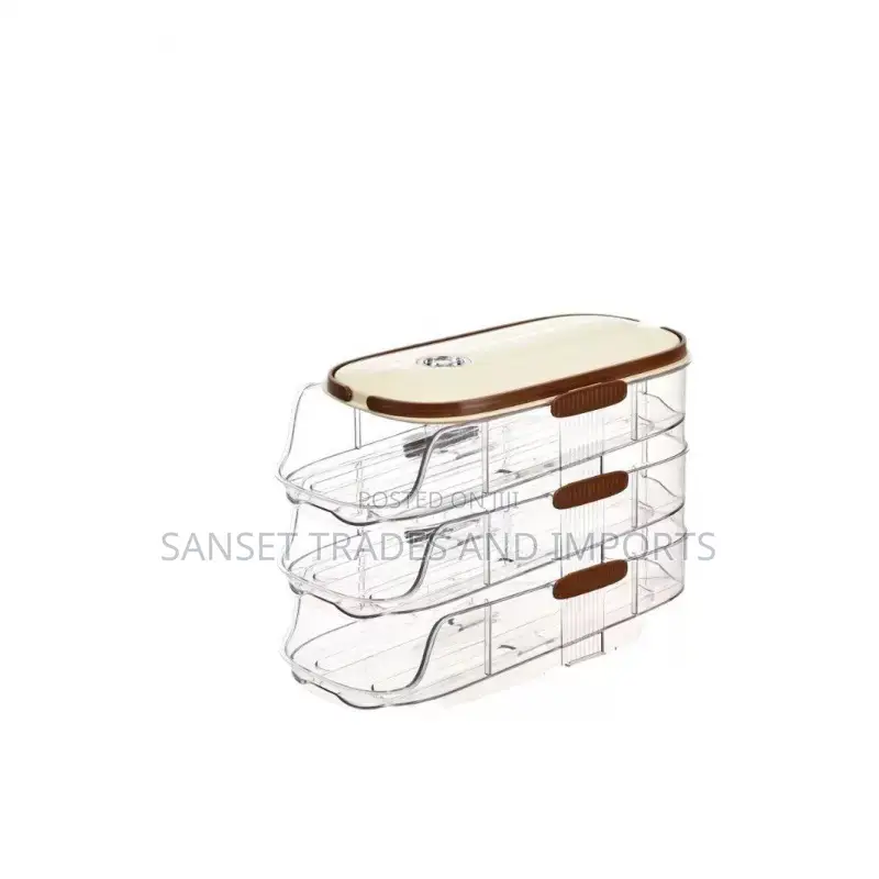 Fashionable Egg Storage Tray