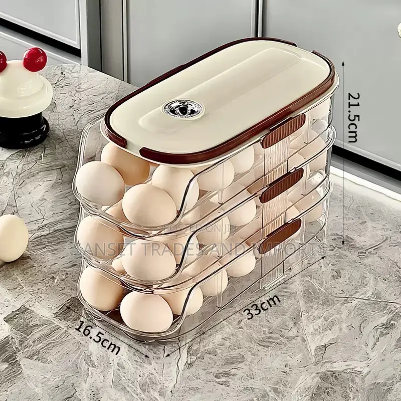 Fashionable Egg Storage Tray