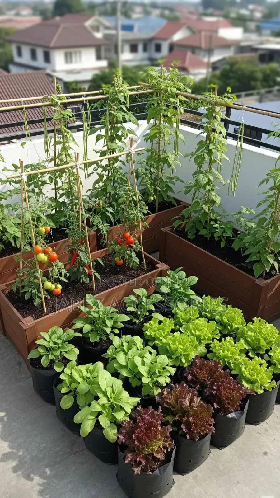 Garden Setup And Landscaping