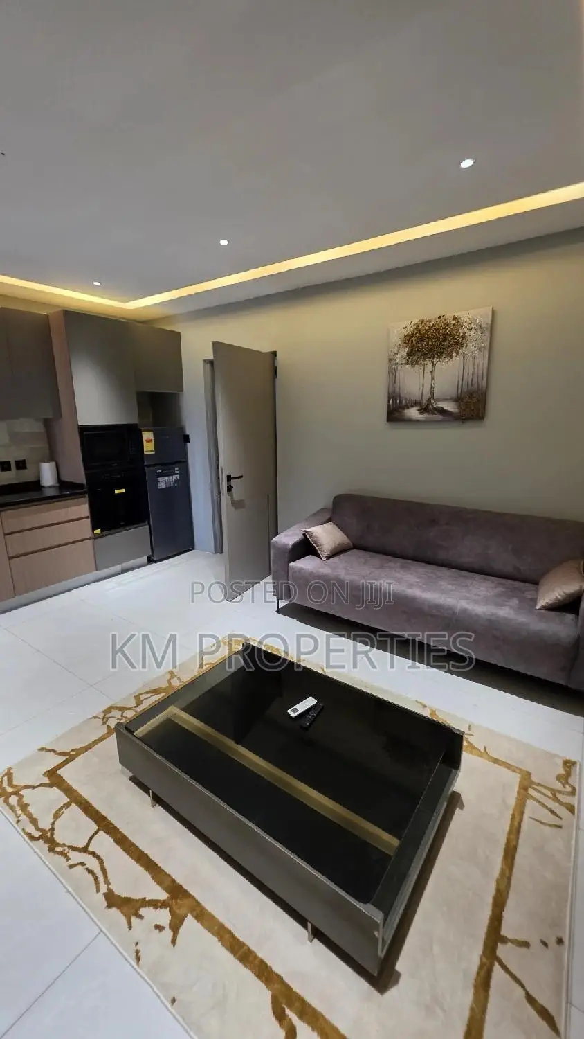 Furnished 1bdrm Condo in North Legon for rent