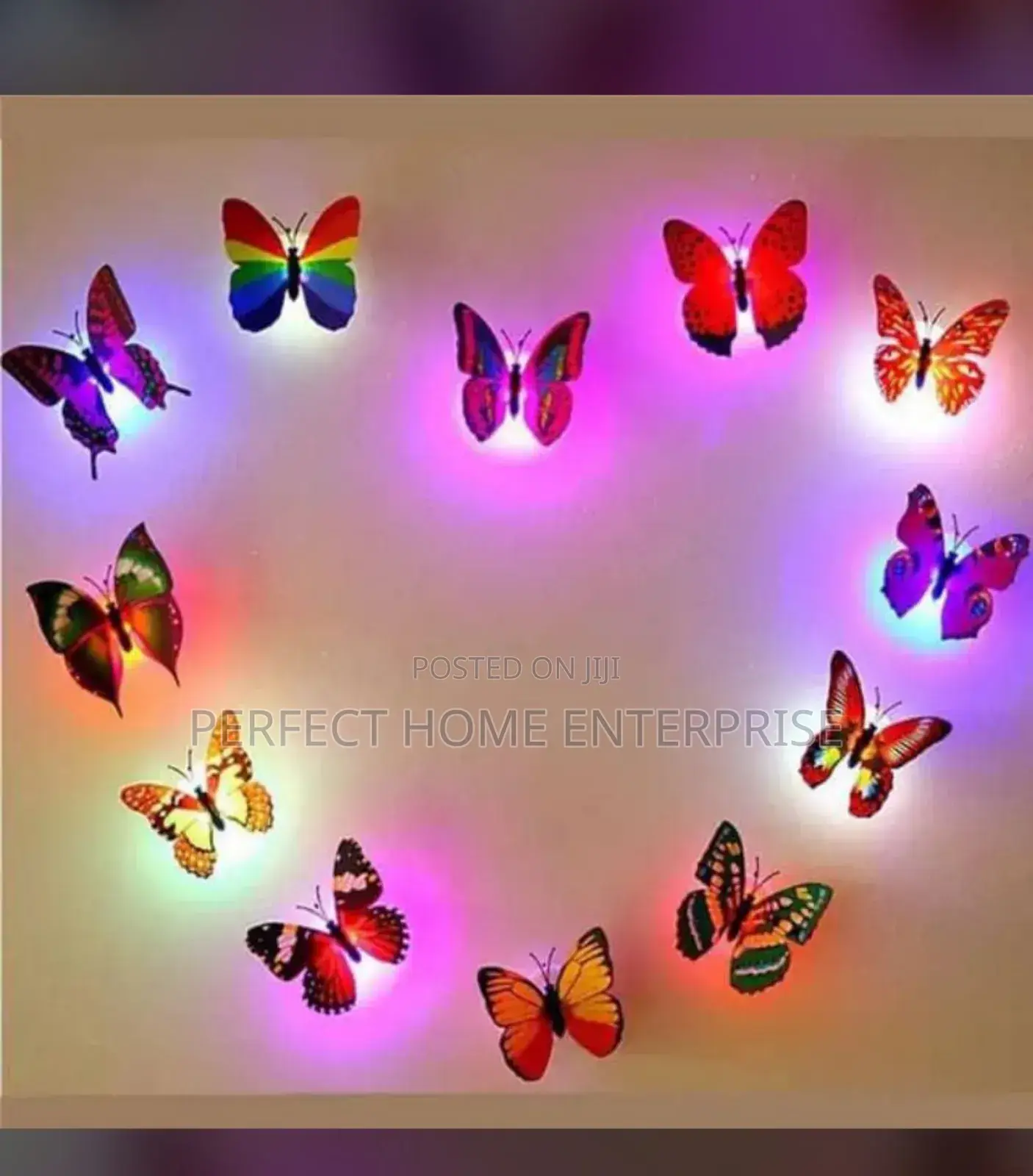 Lightening Butterfly