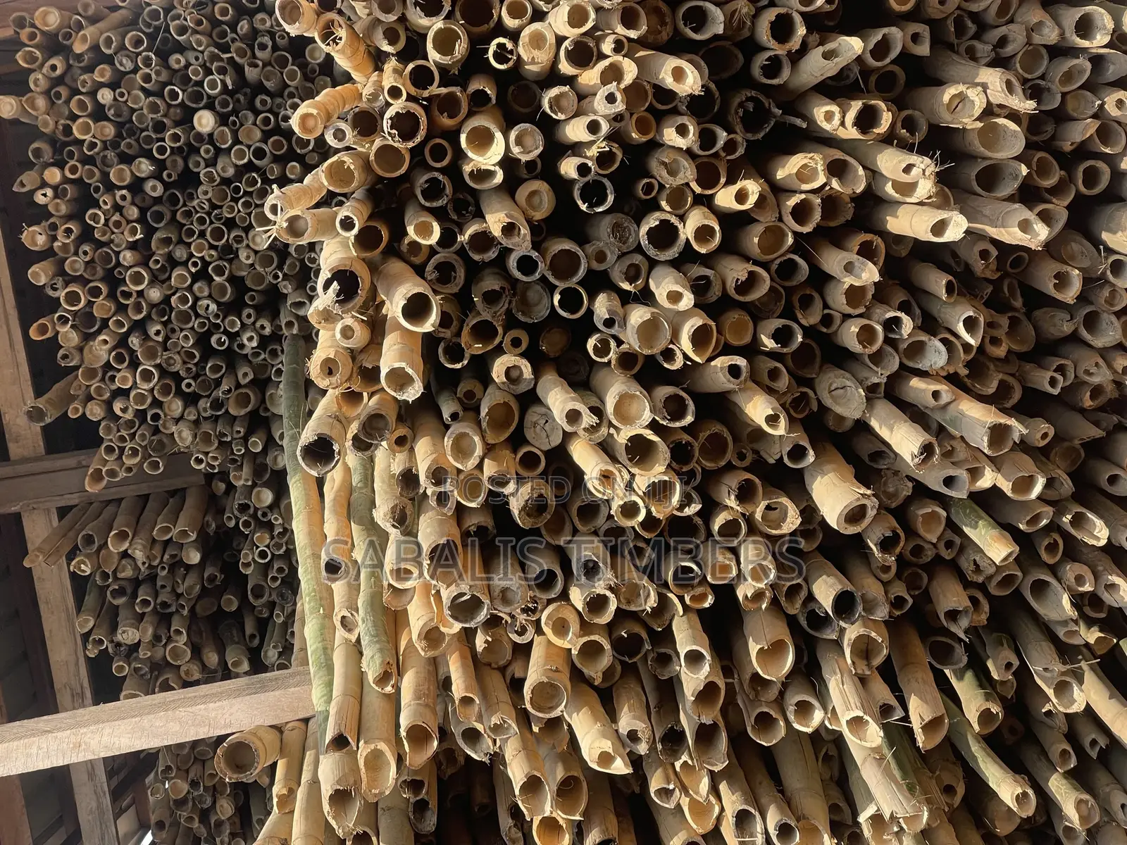 Thick Quality Bamboo for Your Decking and Flooring