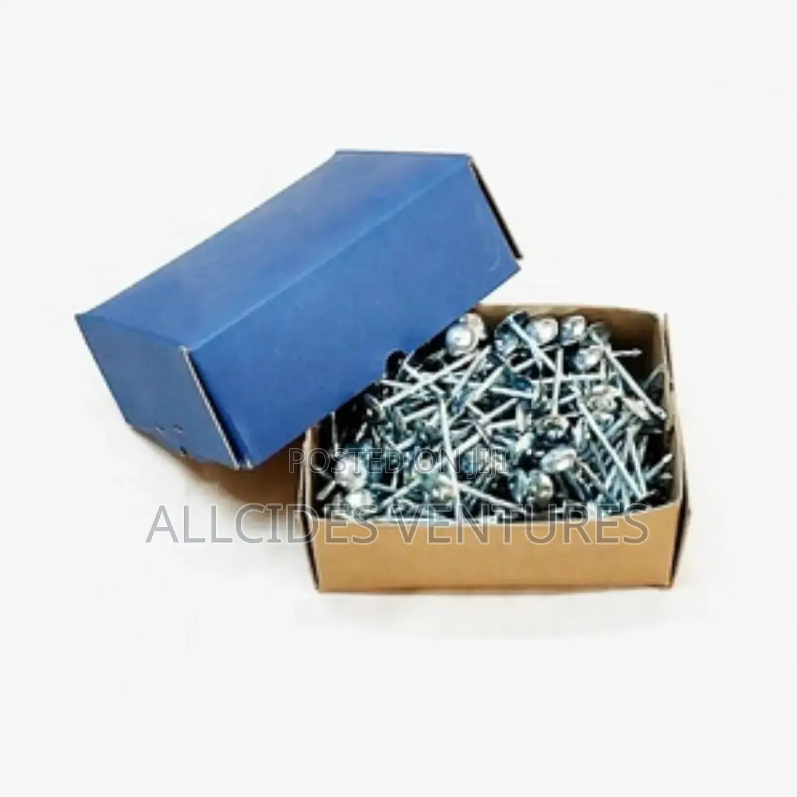 2 1⁄2 Inch Champion Roofing Nails