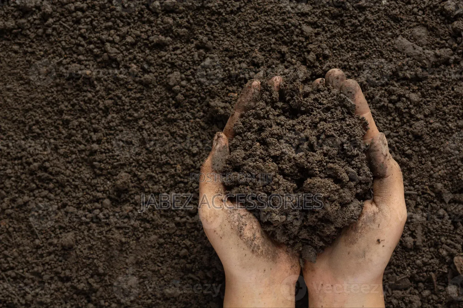 Black Soil (Garden Soil)