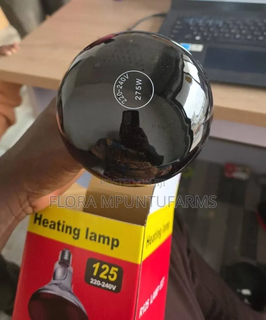 Infrared Heat Bulb