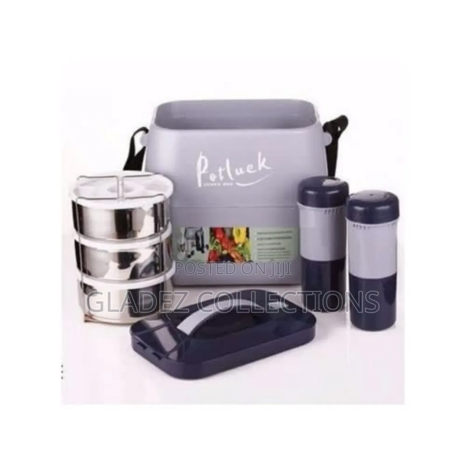 Potluck Insulated Thermal Lunch Flask- Multicolor