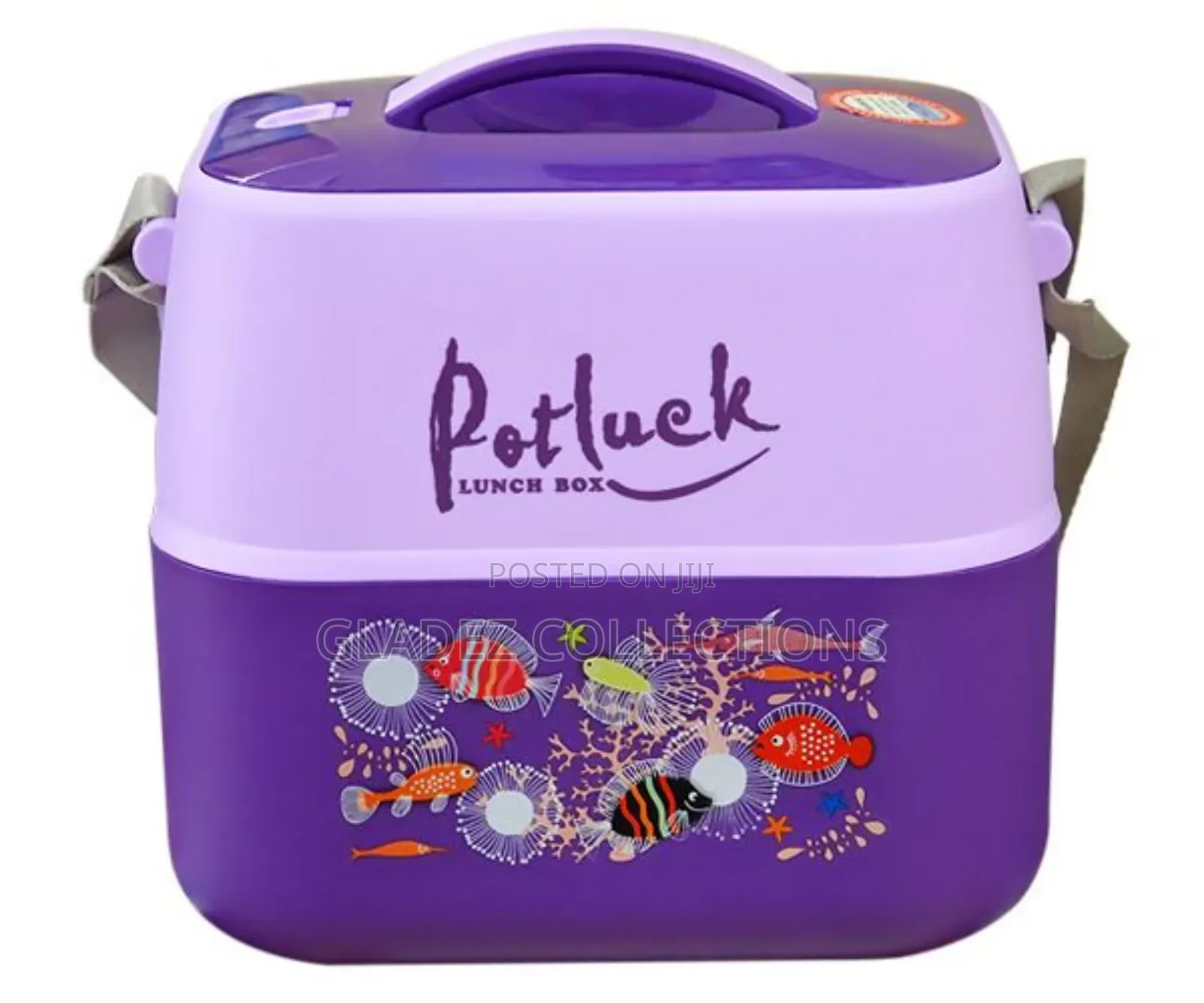 Potluck Insulated Thermal Lunch Flask- Multicolor